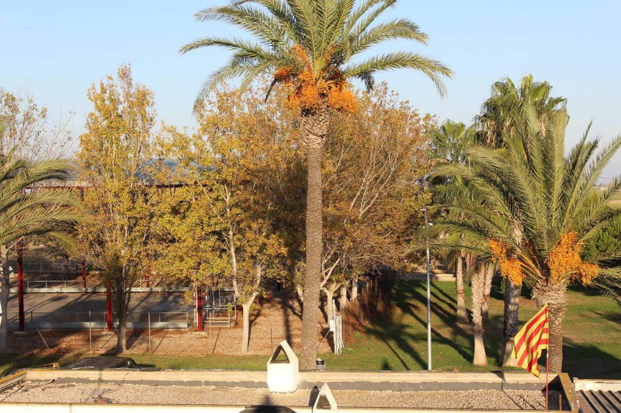 Lo Segador Pensionat El Poble Nou del Delta Exteriör bild